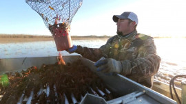 shipping crawfish southwest airlines cargo
