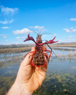 406845585_754350680071662_1890902671458683226_n