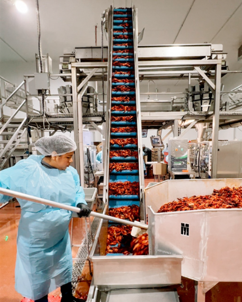 a;sldfj431842688_816857950487601_1584547174678934075_n