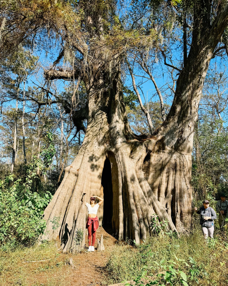 467521686_984176523755742_8880193080190805480_n