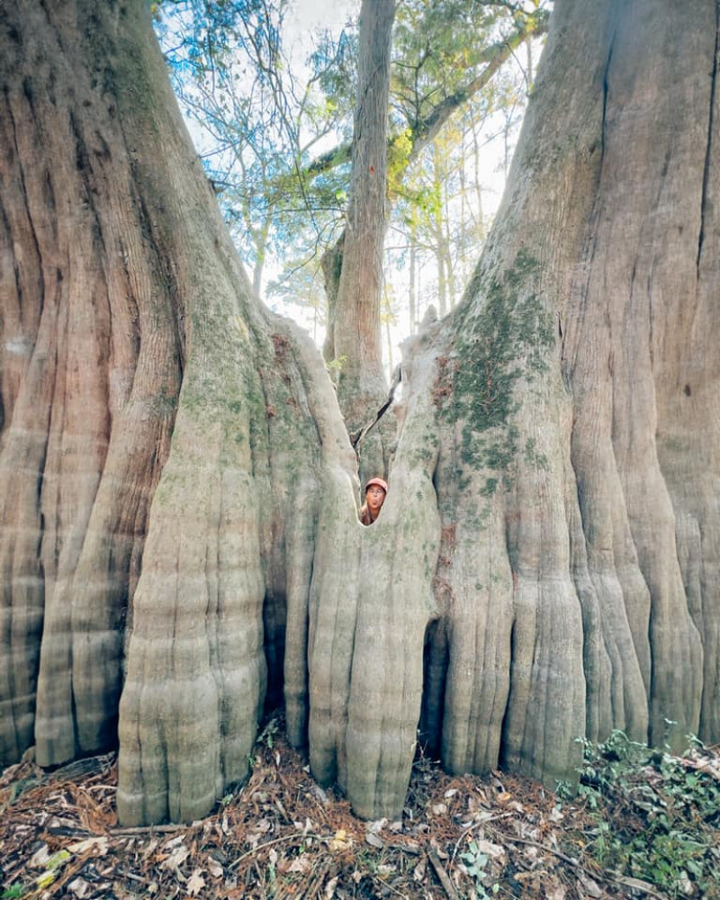 467674499_984174107089317_8209676820534306796_n