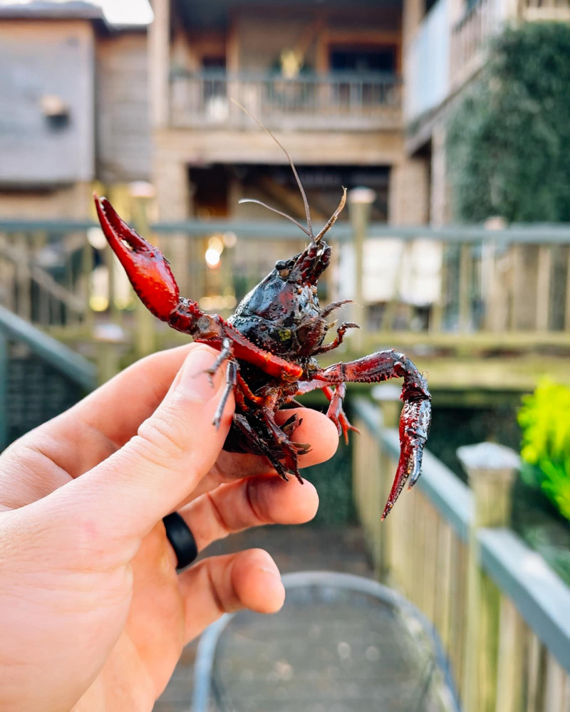 471325260_1010307777809283_4070920689097088523_n