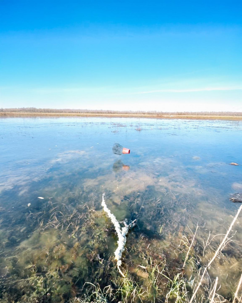 475681441_1034147585425302_4508177589156770774_n