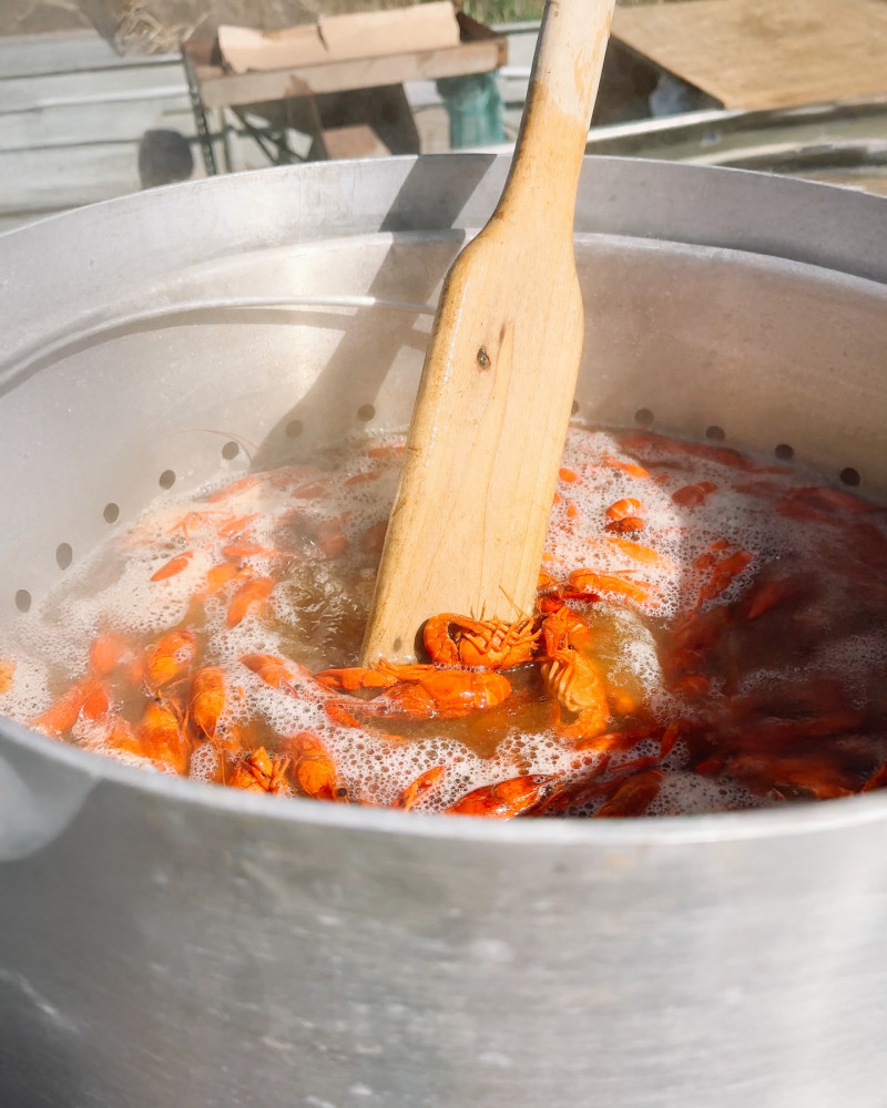 480550875_1050734220433305_7260506065824020279_n