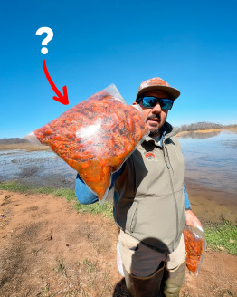 484931361_1069721728534554_8817159748957181250_n