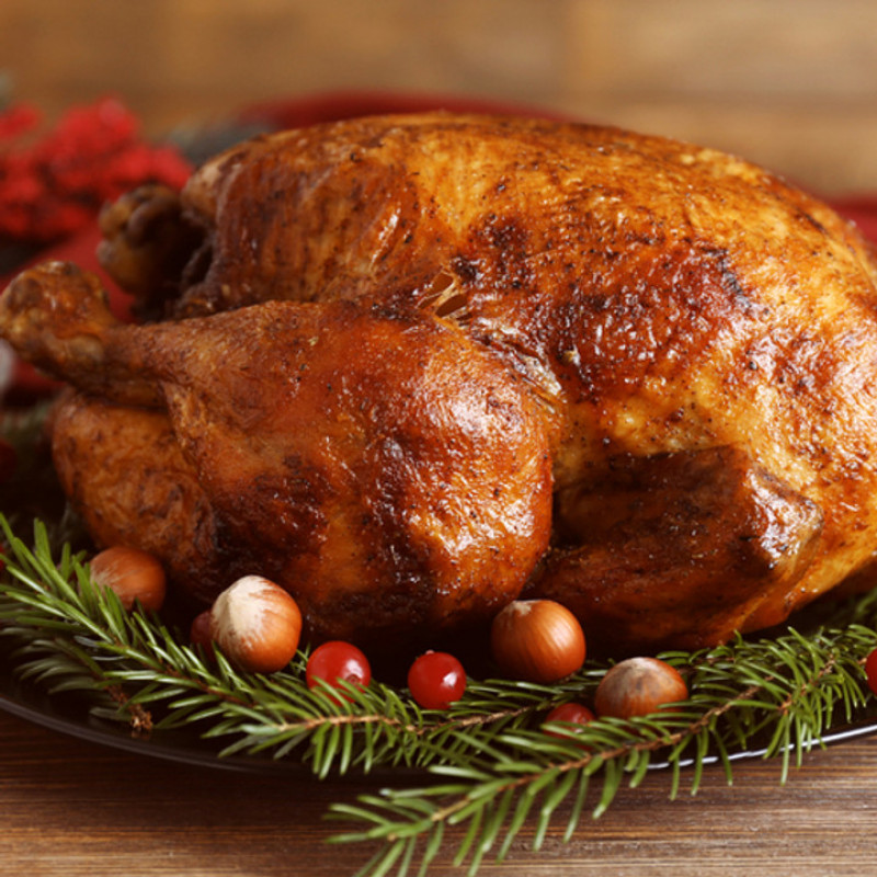 turporken1__insert image