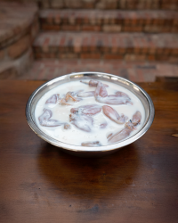 A bowl of fresh frog legs marinating in buttermilk in preparation to be cooked.