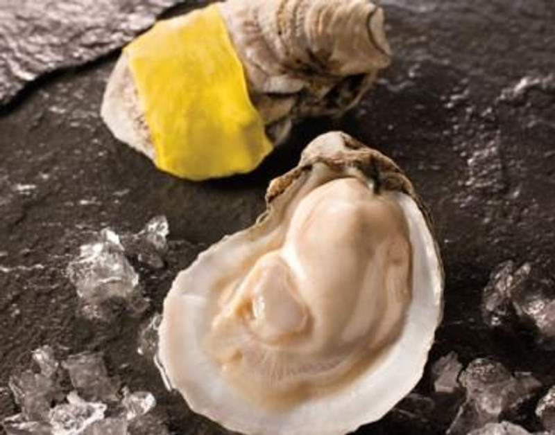 new-orleans-fish-house-gold-band-whole-oyster-12__70530