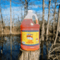 A gallon jug of LA Crawfish Co. Seafood Boil Liquid rests on a tree stump in a swampy forest.