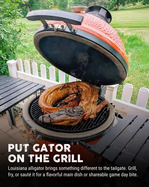 whole gator on the grill A whole skinned Louisiana alligator cooking on a large outdoor ceramic charcoal grill.