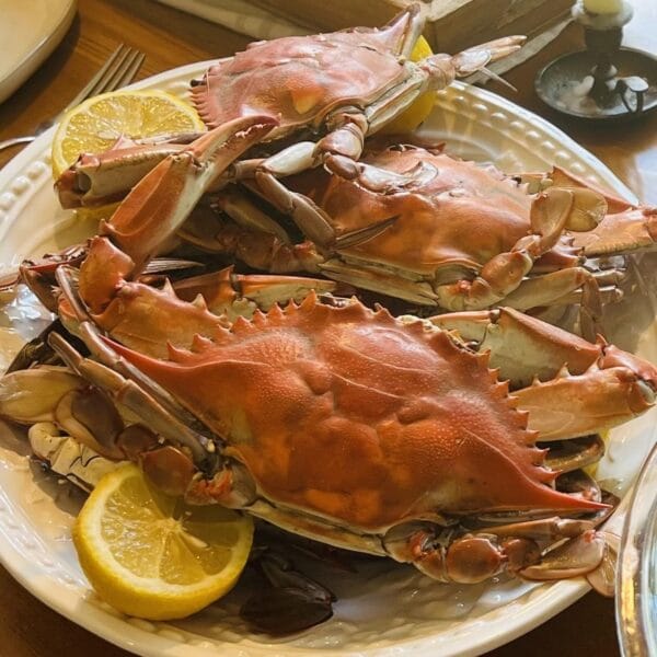 Louisiana Crawfish Company Fresh Cooked Blue Crabs - JUMBO 4 pack