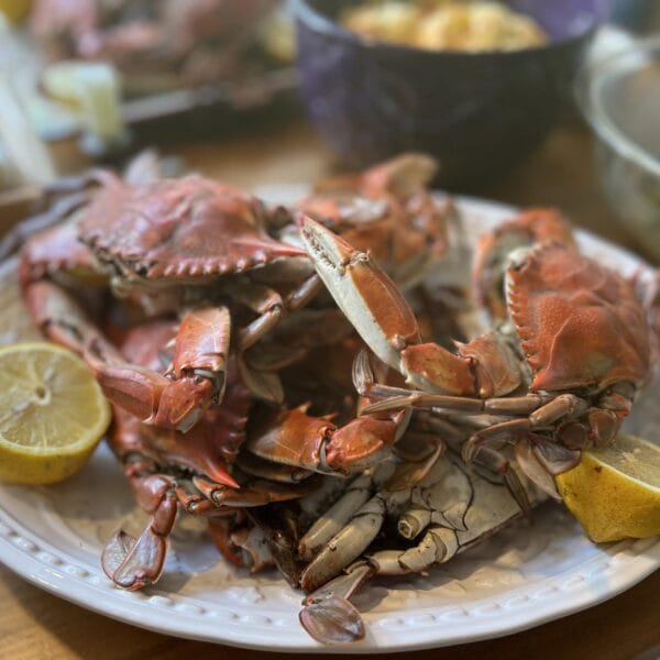 Louisiana Crawfish Company Fresh Cooked Blue Crabs - SELECT 4 pack