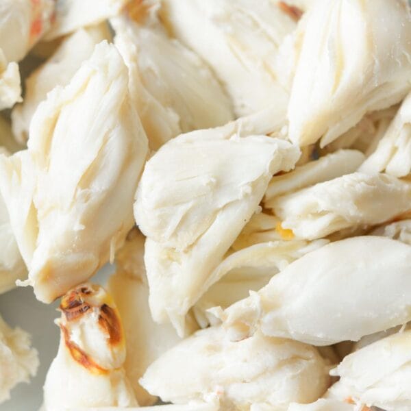 Ponchatrain Blue Crab *Pre-Order* FRESH Premium Jumbo Lump Louisiana Blue Crab Meat 16 oz
