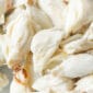 Ponchatrain Blue Crab *Pre-Order* FRESH Premium Jumbo Lump Louisiana Blue Crab Meat 16 oz