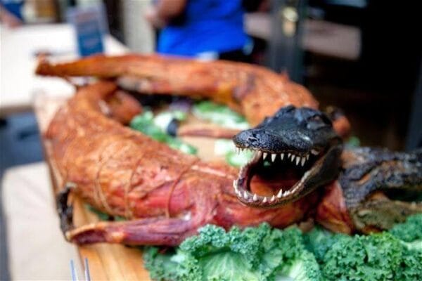 Riceland Whole Skinned Alligator per Pound Riceland Whole Skinned Alligator per Pound