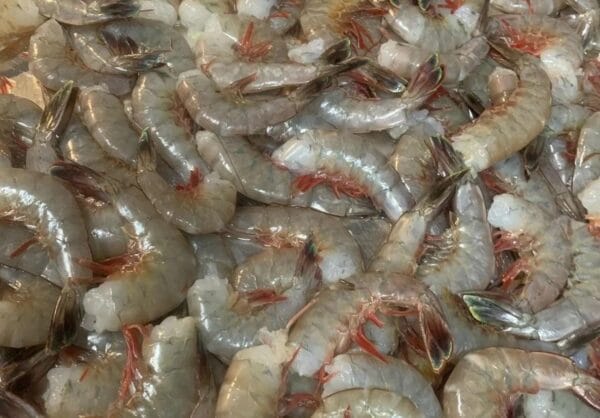 Anna Marie Gulf Shrimp 26/30 Headless 5 lb Anna Marie Gulf Shrimp 26/30 Headless 5 lb