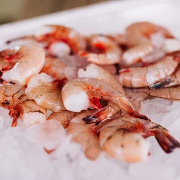 LA Select Headless Gulf Shrimp 21-25 ct 1 LB IQF LA Select Headless Gulf Shrimp 21-25 ct 1 LB IQF
