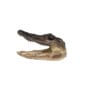 Natural Selection Alligator Head