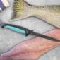 Toadfish Folding Filet Knife