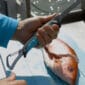 Toadfish Folding Filet Knife