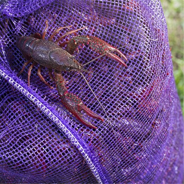 Louisiana Crawfish Company Midweek Mudbug Special - One Sack
