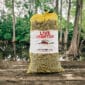 Louisiana Crawfish Company Live Crawfish By The Pound - Jumbo