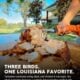An electric knife carves a 15 lb LA Crawfish Co. Turducken on an outdoor wooden cutting board.