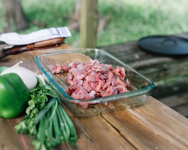 Boneless Turtle Meat 1 lb