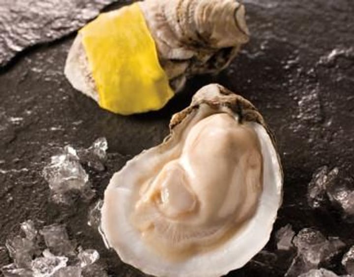 new-orleans-fish-house-gold-band-whole-oyster-12__70530