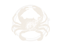 A subtle crab illustration, inspired by Louisiana seafood, sits centered on a white background with detailed legs and claws.