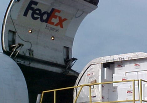 A FedEx cargo plane is open for loading, with white Louisiana crawfish boxes stacked inside and a yellow railing in front.