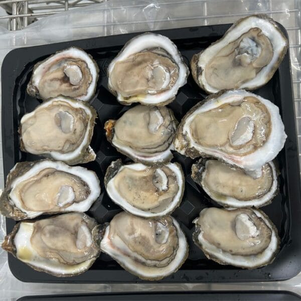 Capt Robin's Oysters on the Half Shell- 1 Dozen Capt Robin's Oysters on the Half Shell- 1 Dozen