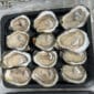 Capt Robin's Oysters on the Half Shell- 1 Dozen