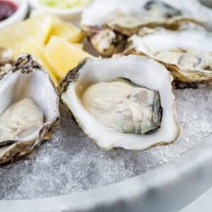 Capt Robin's Oysters on the Half Shell- 1 Dozen