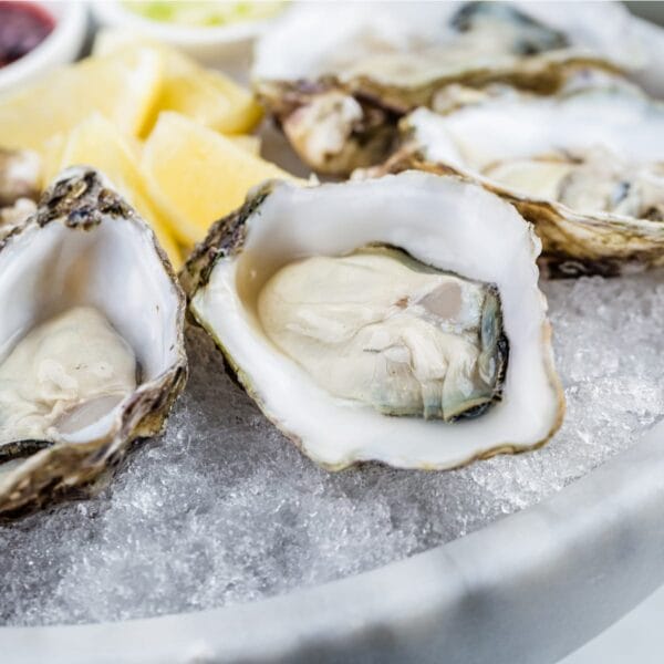Capt Robin's Oysters on the Half Shell- 1 Dozen