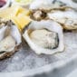 Capt Robin's Oysters on the Half Shell- 1 Dozen
