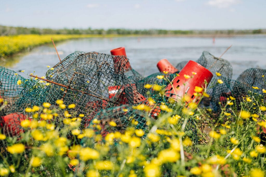 Red fishing traps and green nets sit among wildflowers beside blue water, ready for Louisiana crawfish and seafood.