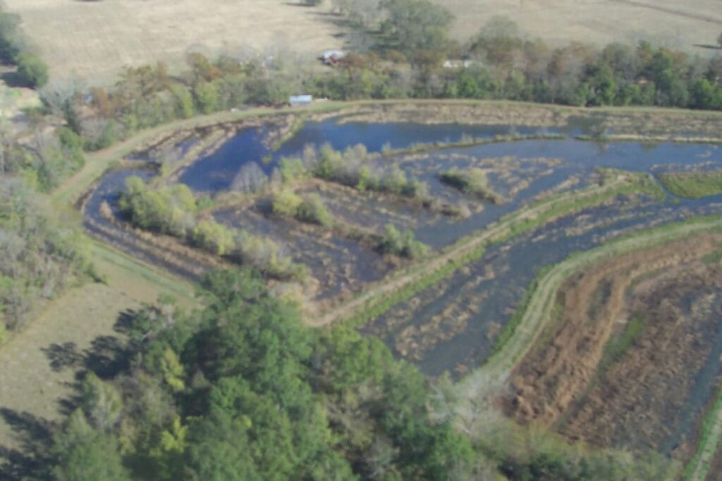 Aerial view of a Louisiana crawfish wetland, featuring ponds, grassy areas, and trees with open fields in the distance.
