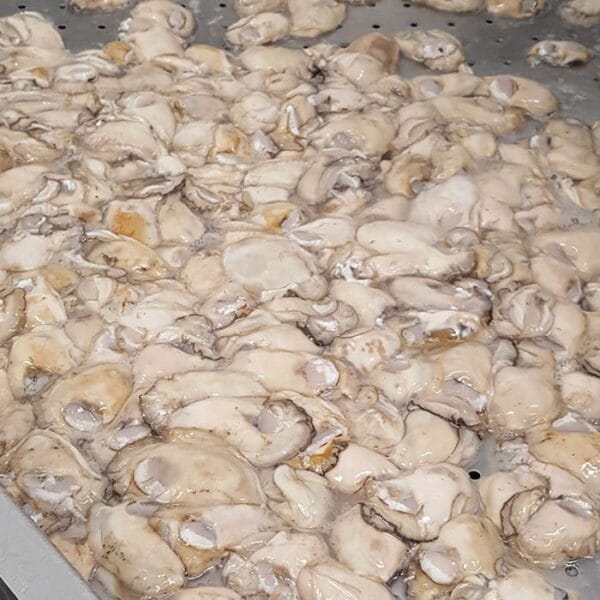 Capt Robin's Shucked Oysters 2lb Capt Robin's Shucked Oysters 2lb