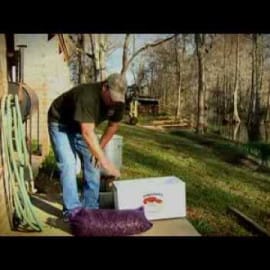 A man in a cap stands outdoors by a house, bending over a white box and mesh bag filled with Louisiana crawfish.