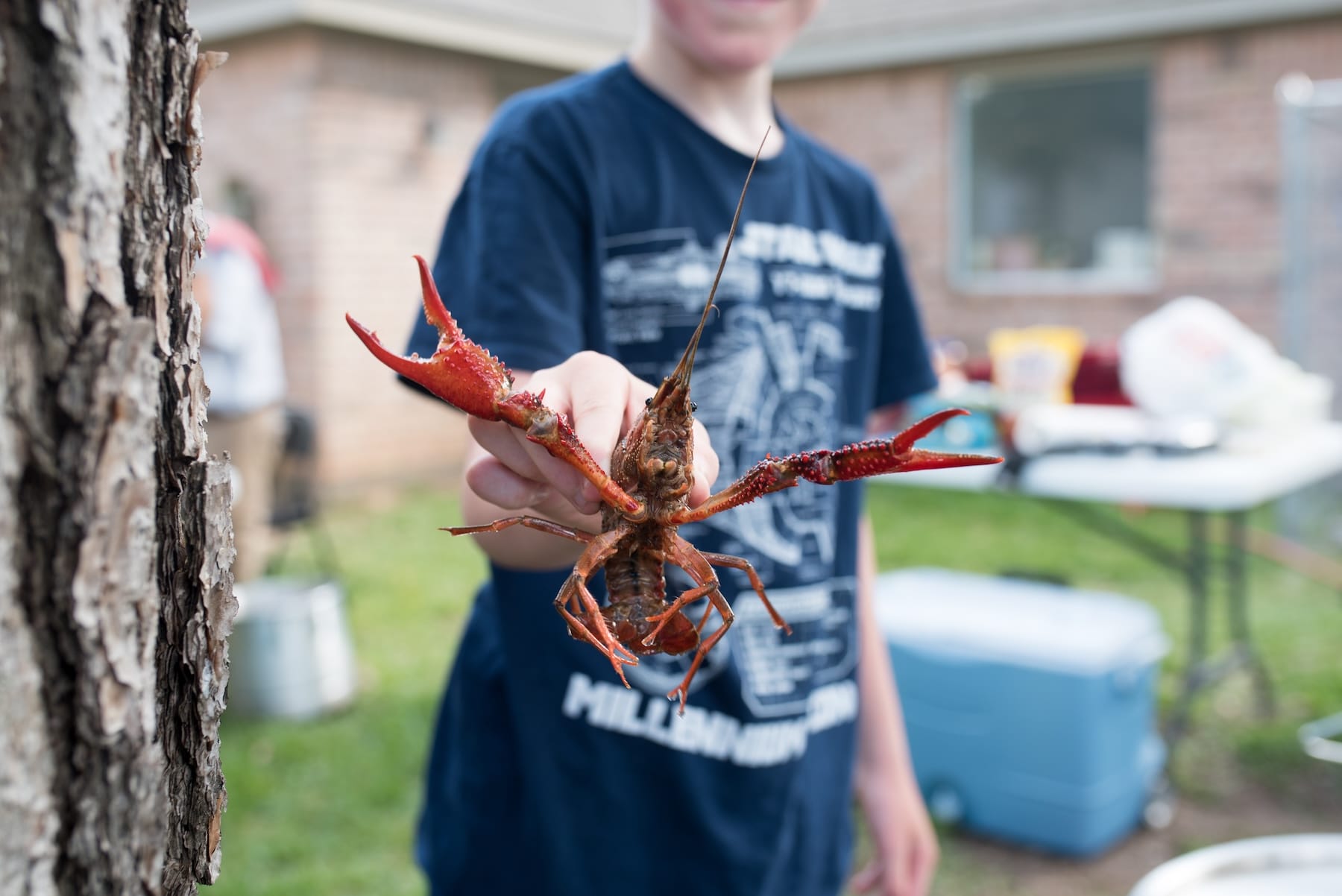 LA Crawfish June 1-5