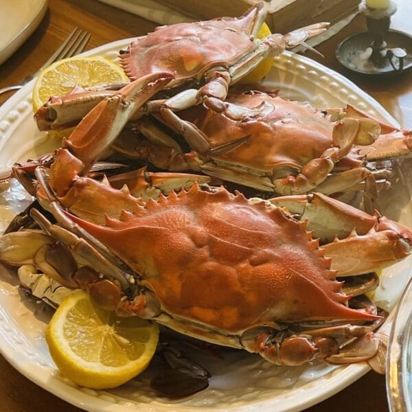 Colossal blue crabs, freshly cooked, served with lemon on a white plate—classic Louisiana seafood on a wooden table.